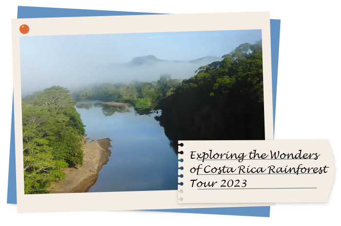 Costa Rica Rainforest Tour