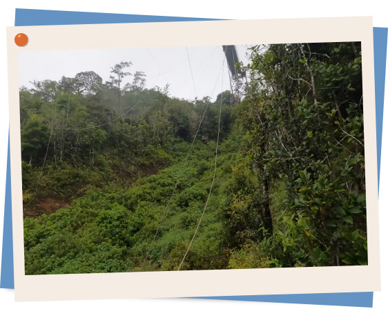 zip_lining