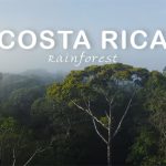 Costa Rica Rainforest