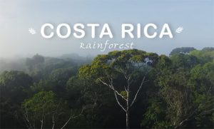 Costa Rica Rainforest